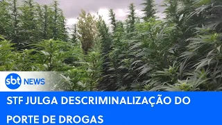 🔴 SBT AO VIVO: STF julga descriminalização do porte de drogas | SBT News