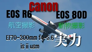 【Canon】EF70-300mm f4-5.6 IS Ⅱ USM EOS R6　レビュー　野毛山　羽田　航空撮影