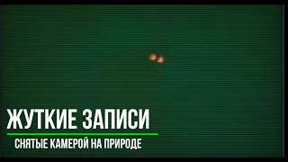 Жуткие Записи Снятые камерой на Природе__Страшные записи_Страшные истории на ночь