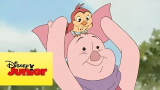 Mini aventuras de Winnie the Pooh - Si no yo fuera tan pequeño