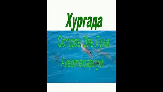 Египет Хургада.. Остров Эль Гуна.. Самый лучший Аквариум Египта..  Красоты моря.. Фауна Египта ..