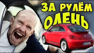 МГНОВЕННАЯ КАРМА, ЗА РУЛЁМ ОЛЕНЬ, автоприколы, авто приколы, я рвану я автоледи