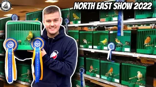 North East British Bird, Mule, Hybrid & Canary Show 2022