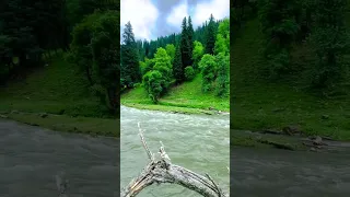 Taobut Neelum Valley AJK #taobut  #neelumvalley #AJK