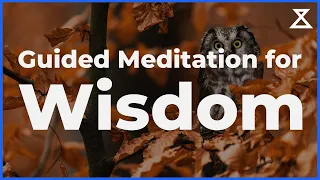 Guided Meditation for Wisdom (10 Minutes)