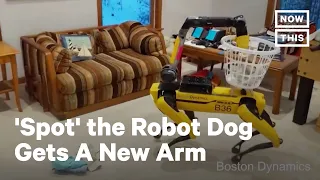 Boston Dynamics' Spot the Robot Dog Gets New Arm