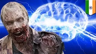 Reversing death: Clinically dead brains could be brought back to life in new trial - TomoNews