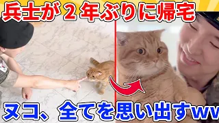 【2ch動物スレ総集編】2年ぶりに兵士に触れたヌコ→その瞬間に全てを思い出し、衝撃の反応ｗｗｗｗｗ