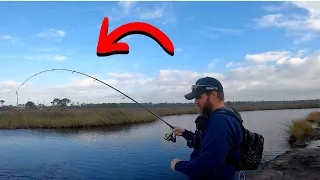 Roadside Fishing In Gulf Shores