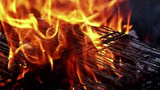 10 Minutes of Uninterrupted Peace Of Fire Sound #fire #campfire