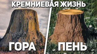 Иная форма жизни существовала на земле в прошлом