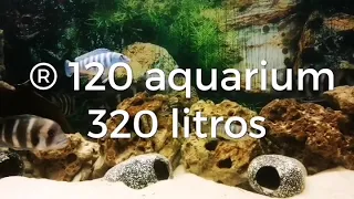 Atman ® 120 aquarium tank de 320 litros.