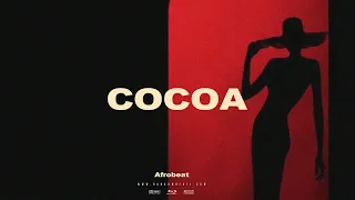 Burna boy x Afrobeat Type Beat "Cocoa"