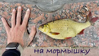 Бюджетная палочка под мормышку и не только. Рыбалка на реке Везёлка в начале лета 2К22