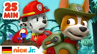 PAW Patrol Dschungelrettungen für 25 Minuten! | Nick Jr. Deutschland