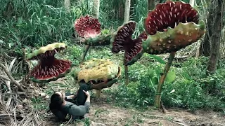 Alien species invaded the island, and they were attacked by insects and man-eating flowers!