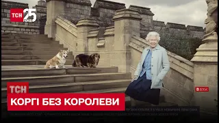 🐶💔 Дружба тривалістю в життя! Що буде з коргі королеви Єлизавети ІІ