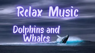 Relax Music - Звуки дельфинов и китов.