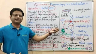 Chemotherapy of Antibiotics (Part-14) Quinolones =Introduction & Mechanism of Action | Antibiotics