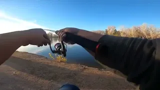 Guy Accidentally Catches Flying Bird While Casting Fishing Line - 1394329-1