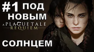 A Plague Tale: Requiem ► #1 ПОД НОВЫМ СОЛНЦЕМ