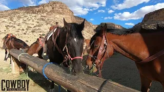 Cowboy Trail Rides - Las Vegas, Nevada