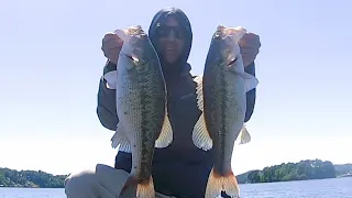 Smashing bass on Logan Martin lake with stealth rig and Chad shad late April 2024