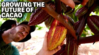 Growing the Future of Cacao | Ep.94 | Craft Chocolate TV