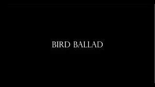 Bird Ballad - Short Film