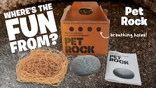 The Pet Rock set off Elmo, but Who set off the Pet Rock??  | Where's the Fun from?