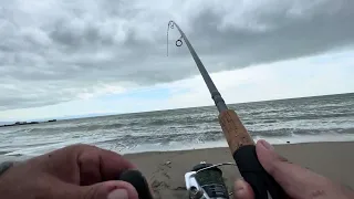 Surf Perch Fishing A break in the winter storm  2024