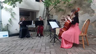 Lord of the rings (theme for string quartet) The Ladies Ensemble