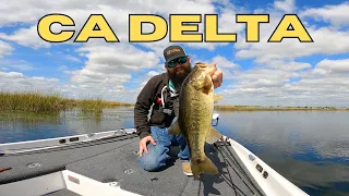 61 days later... California Delta Spring Bass Fishing