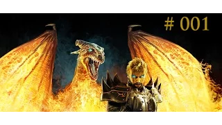 Let's Play Divinity II: Flames of Vengeance - Neue Hoffnung für Aleroth [Part 1] [German]