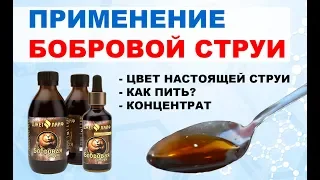 Бобровая струя применение. Как принимать? Как пить струю бобра