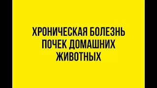 20 лекций о болезнях животных. ХПН, ХБП животных.