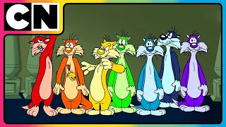 Looney Tunes  - Colourful Sylvester Chase Tweety Bird | Cartoon Network Show