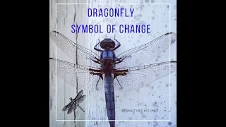 Dragonfly Symbol of Change