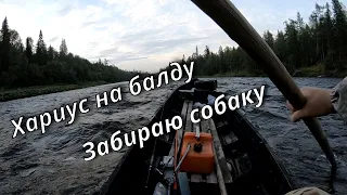 Рыбалка на хариуса. Крупный хариус. Везу мотособаку на лодке.Рыбалка 2021.