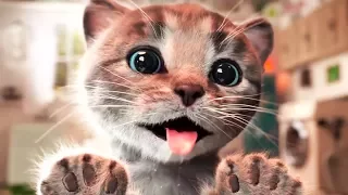 LITTLE KITTEN'S ADVENTURE cartoon funny video for kids cartoon about cats #MM