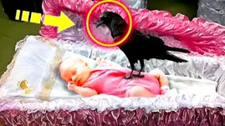 During the funeral, a crow sat on the girl's coffin. Then the unthinkable happened!