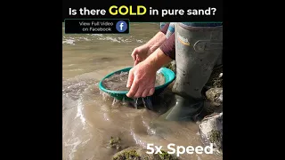Can I find GOLD in PURE SAND?