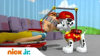 Щенячий патруль | Щенки спасают представление 🚨 | Nick Jr. Россия