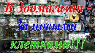 Покупаем клетку кролику и Зебрине   поход в зоомагазин