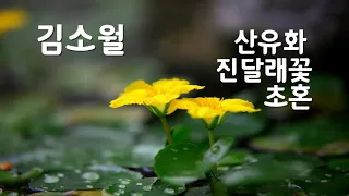 힐링시16(낭송)애틋한김소월의산유화,진달래꽃,초혼