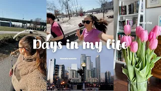 DAYS IN MY LIFE | 10k run, anxious attachment, toronto events | Chatty Vlog