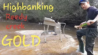 Highbanking Reedy creek Beechworth. Can I break my Gold record?