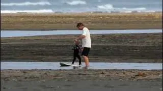 Beginner Surf Lessons - For Very Young Children