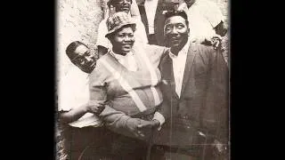 BIG MAMA THORNTON - THE BIG CHANGE