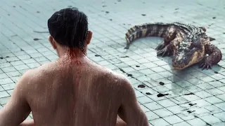 Man Is Trapped With A Crocodile In A Deep Pool With No Ladders